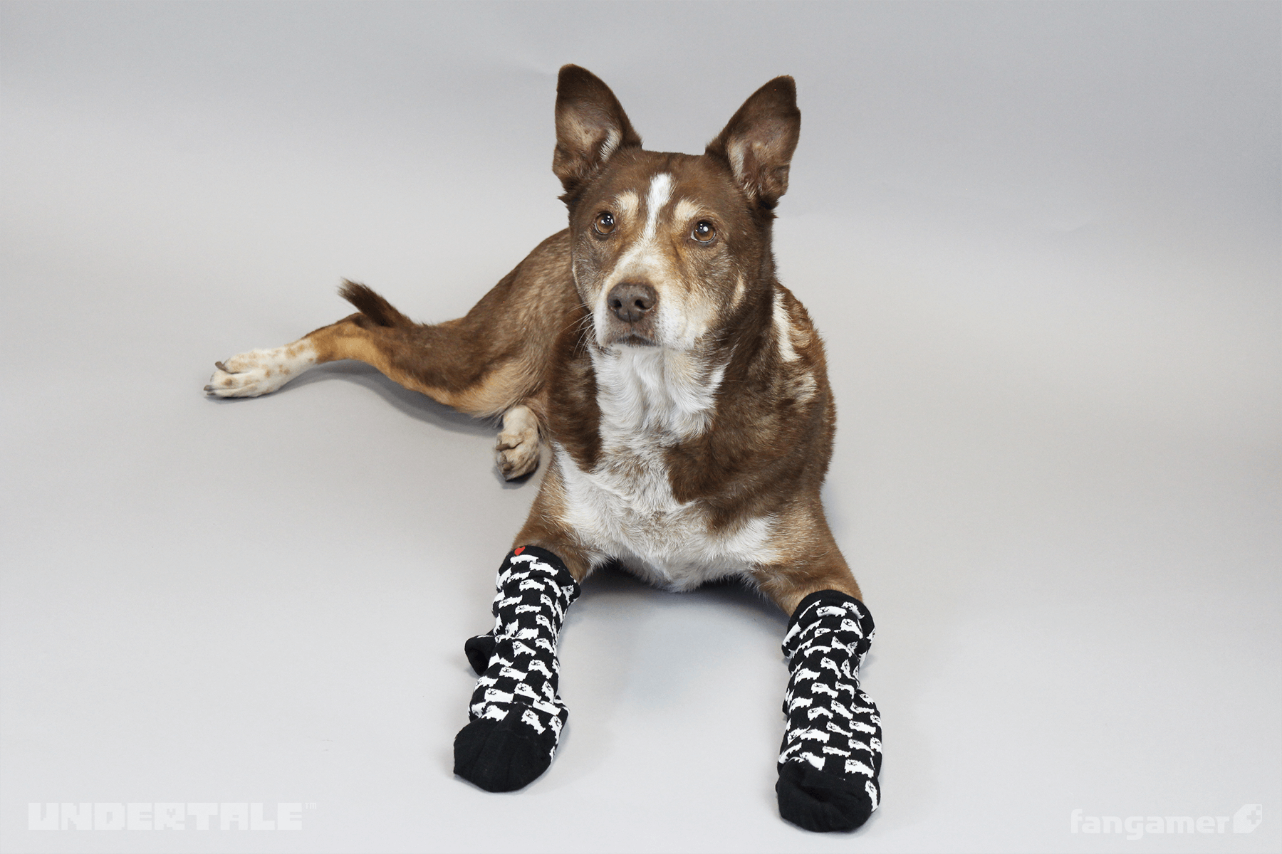 UNDERTALE - Annoying Dog Socks - Fangamer
